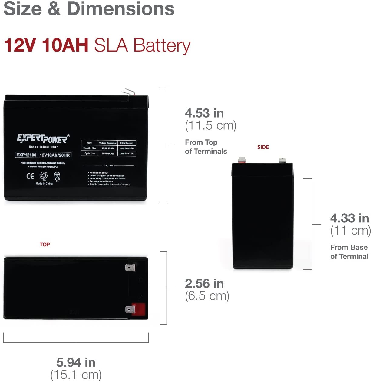 12 Volt, 10 amp Rechargeable Battery