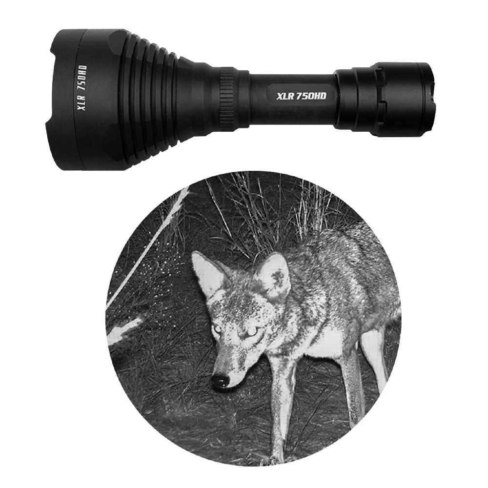 750HD inset with coyote in night vision
