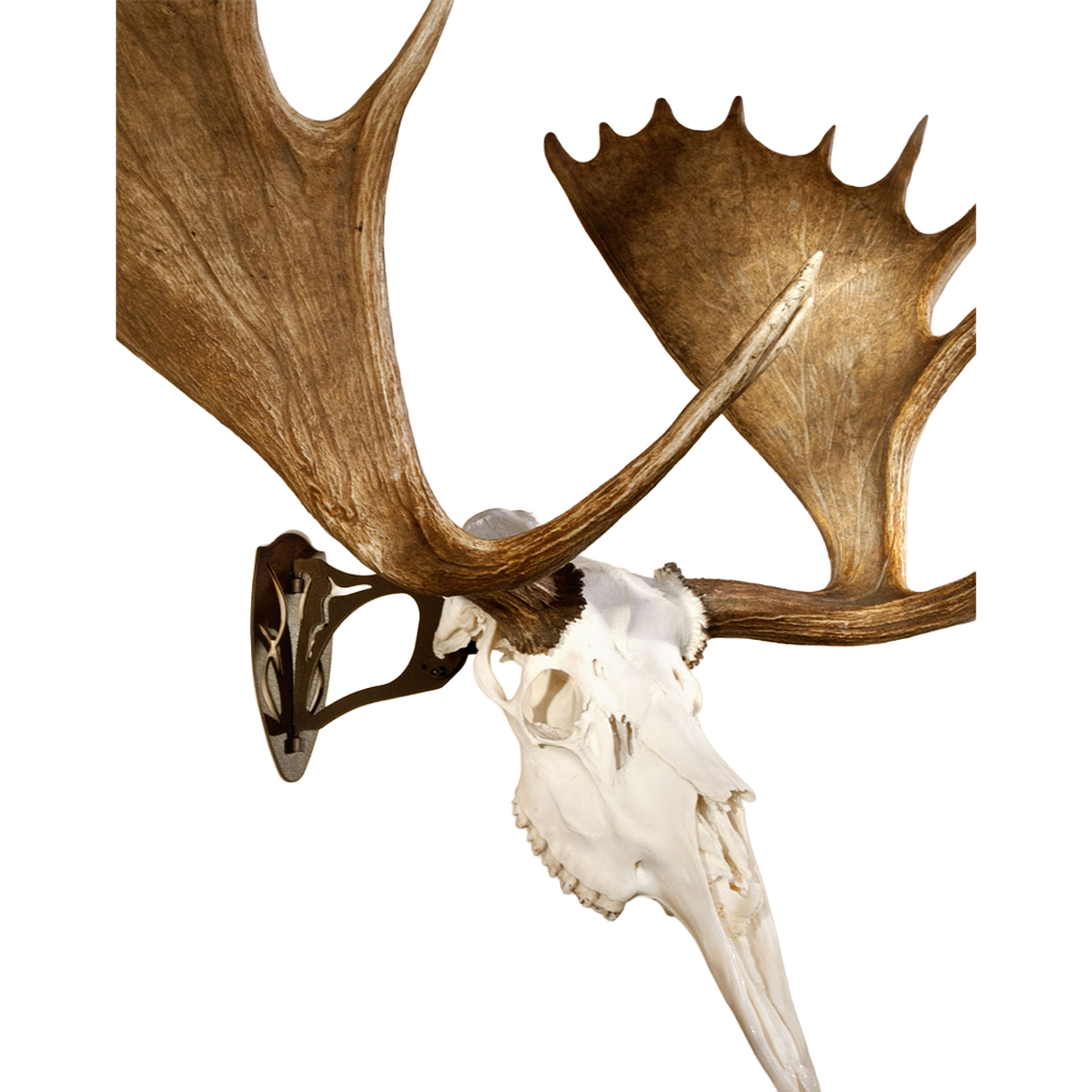 SKULL HOOKER, The Big Hooker