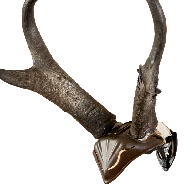 SKULL HOOKER, Skull Cap