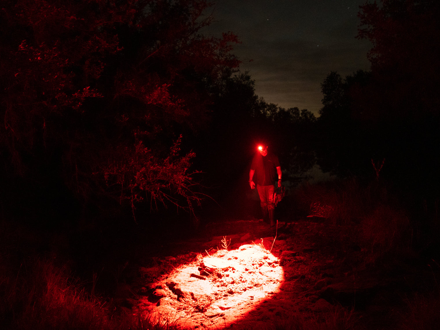 Elusive Wildlife 3-in-1 LED Headlamp Kit with Adjustable Beam for Hunting, Hiking and Camping-Dimmable, Zoomable led headlamp with Over 200 Yards Distance High Power headlamps for Hunters