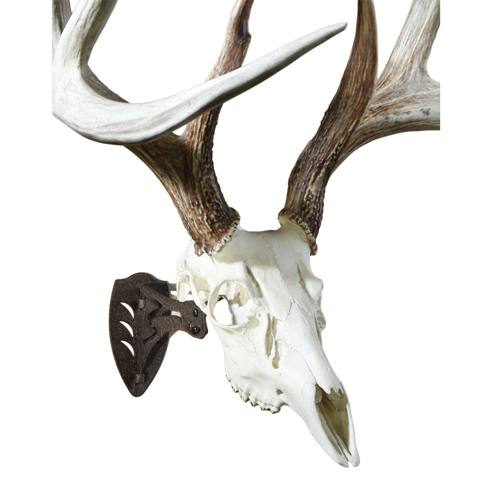 SKULL HOOKER, The Little Hooker