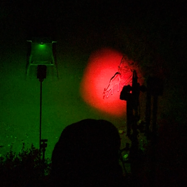 Piglet HD PRO Light Package