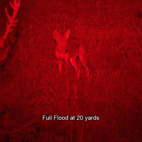 Piglet HD Bow Light Package -PRO