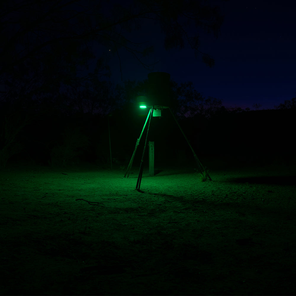 Kill Light Sportsman Motion Activated Light Green