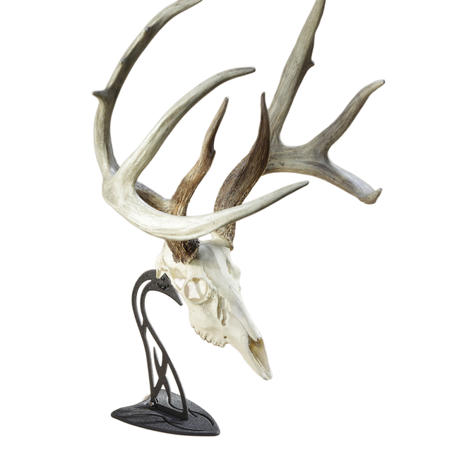 SKULL HOOKER, Table Hooker