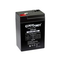 6 Volt 4 amp Rechargeable Battery