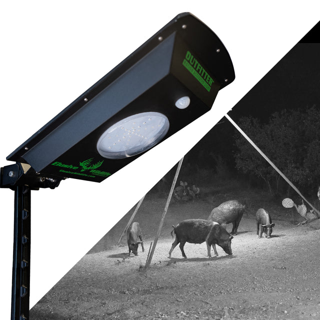 Kill Light Outfitter Solar Powered Motion Activated Night Hunting Light