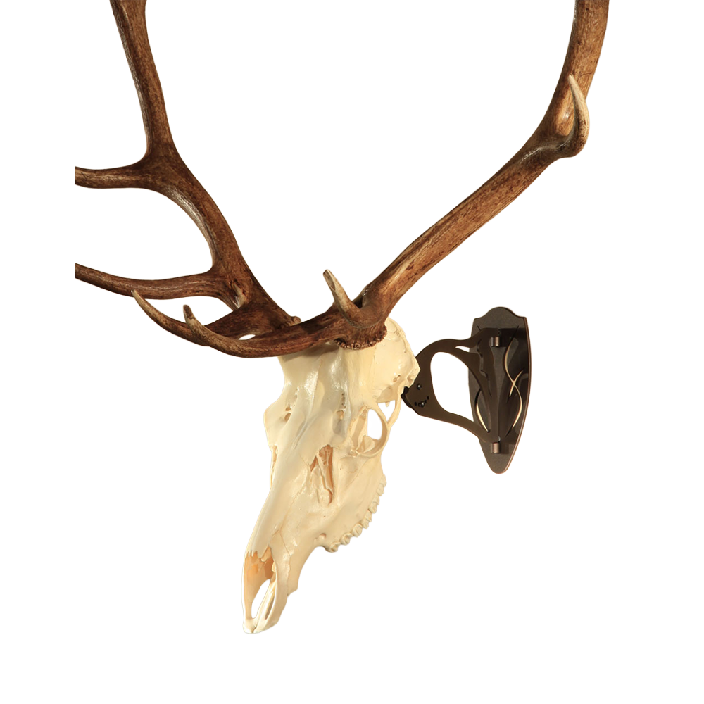 SKULL HOOKER, The Big Hooker