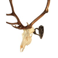 SKULL HOOKER, The Big Hooker