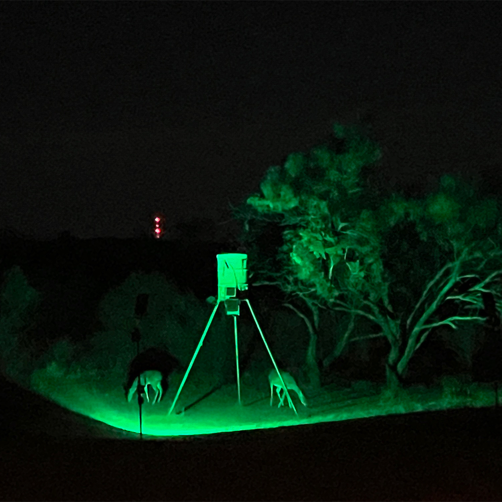 BLIND SIDER-X2 PRO 3-Color Motion Activated Feeder Light