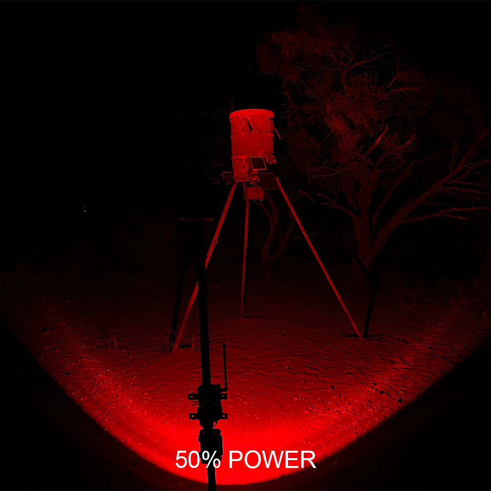 BLIND SIDER-X2 PRO 3-Color Motion Activated Feeder Light