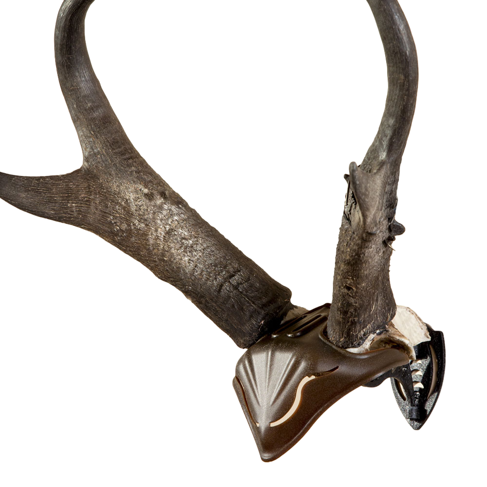 SKULL HOOKER, Skull Cap