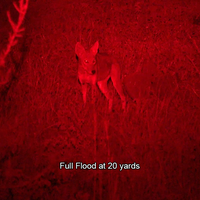 Piglet HD Bow Light Package -PRO