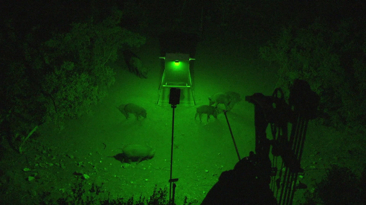 Kill Light Outfitter Solar Powered Motion Activated Night Hunting Light